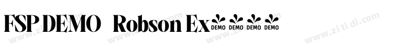 FSP DEMO   Robson Ex字体转换